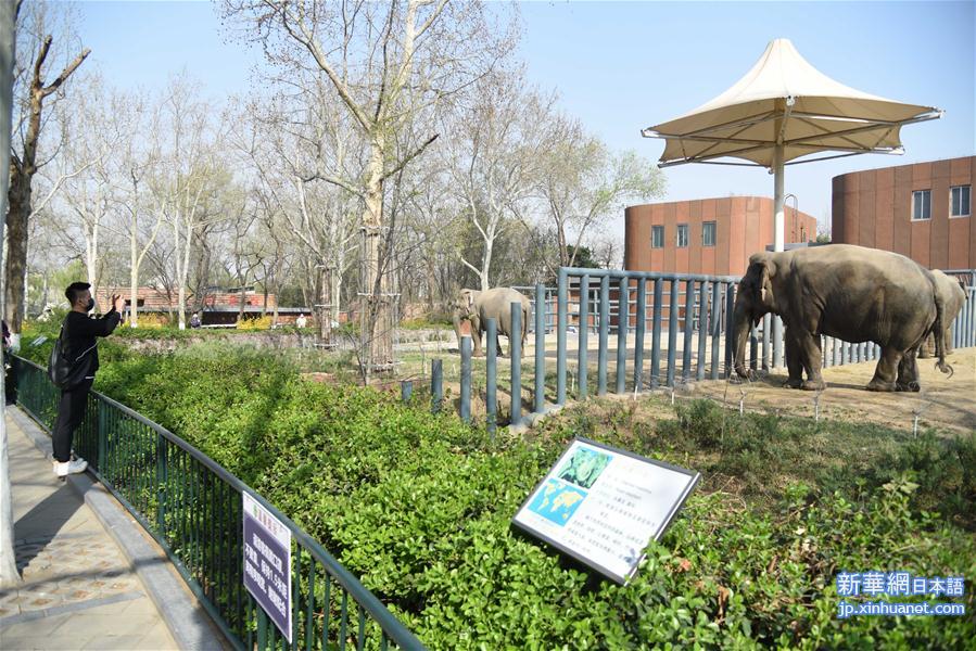 （聚焦疫情防控）（4）济南动物园恢复开园